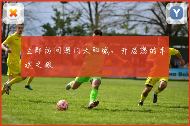 立即访问澳门大阳城，开启您的幸运之旅