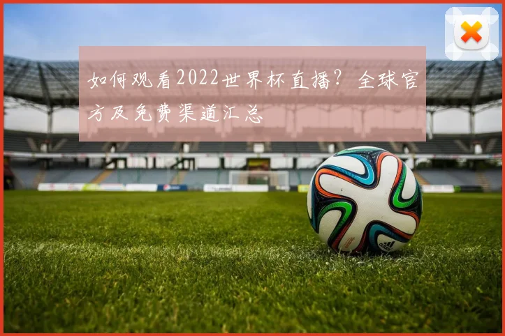 如何观看2022世界杯直播?全球官方及免费渠道汇总