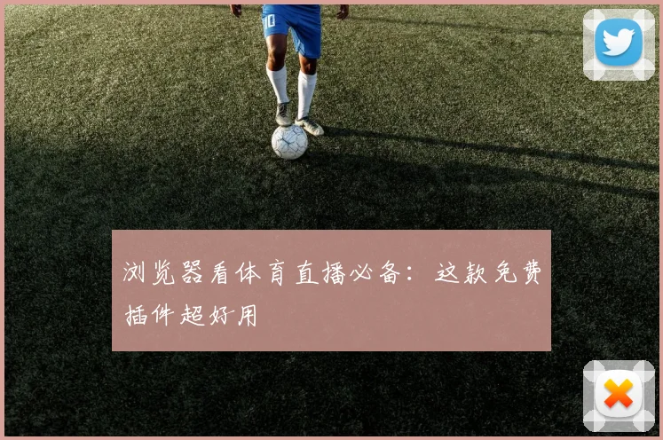 浏览器看体育直播必备:这款免费插件超好用