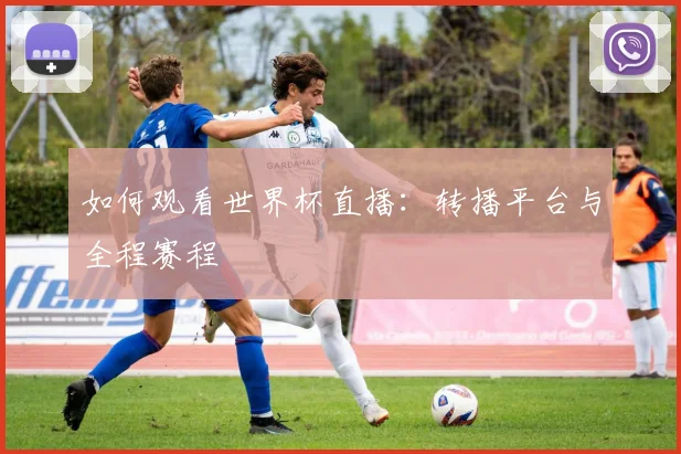 如何观看世界杯直播：转播平台与全程赛程